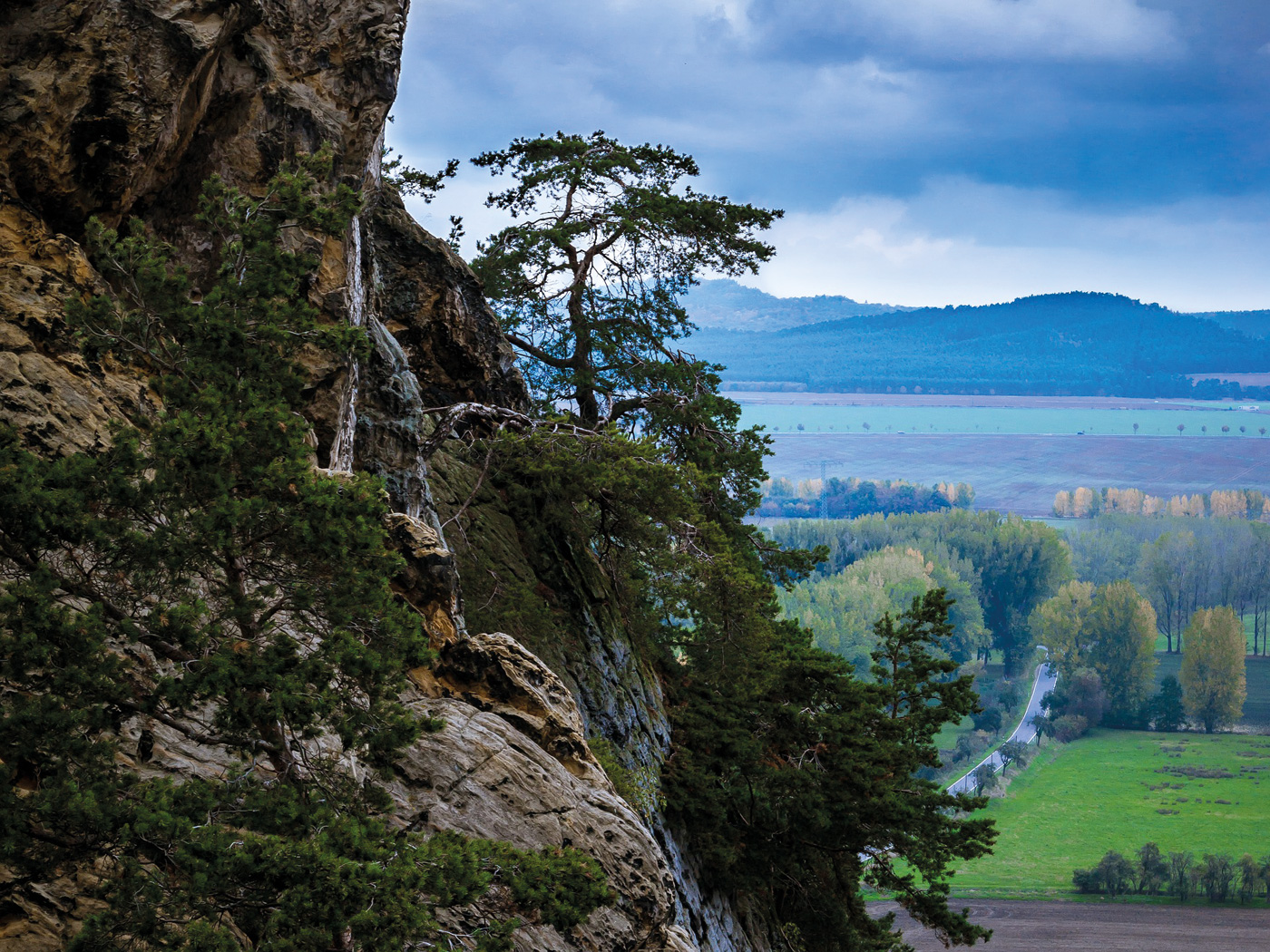 Blick auf eine Berglandschaft im Harz