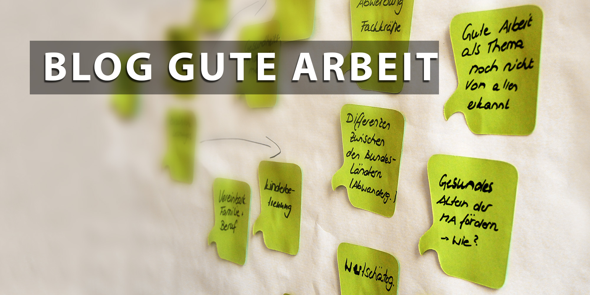 Grafik: Landesinitiative Fachkraft im Fokus